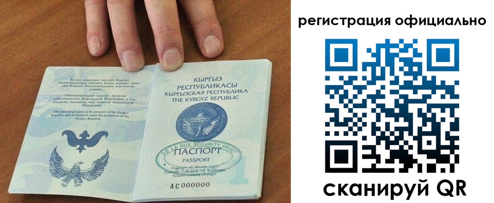 прописка в Кузнецке